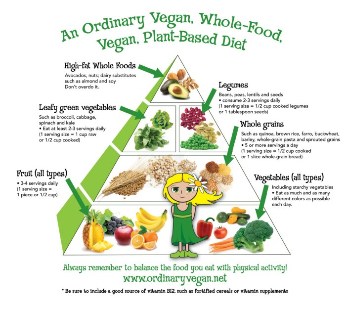 Vegan pyramid food 2021